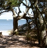 North Carolina Coastal Land Trust
